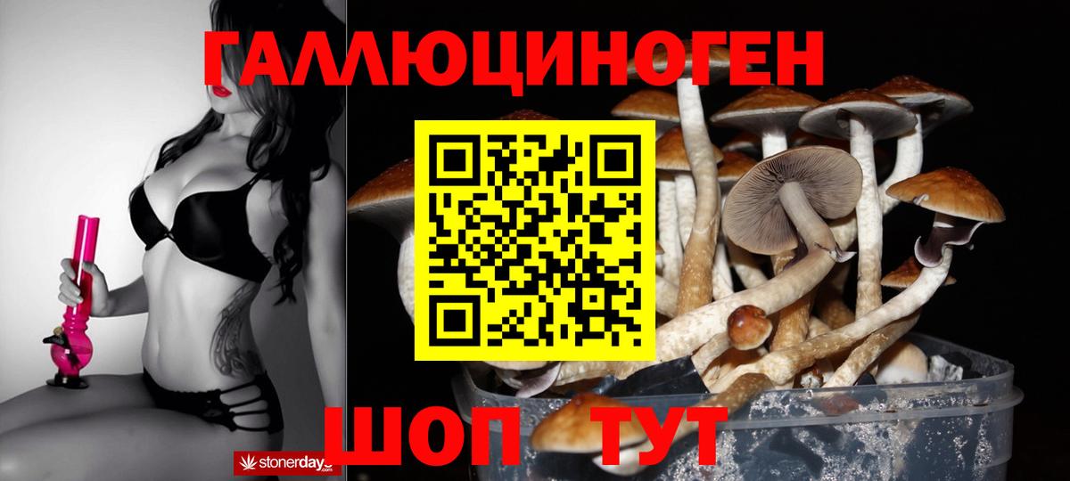 Псилоцибиновые грибы Psilocybine cubensis  Вход с VPN  Кропоткин  Галлюциногенные грибы Psilocybine cubensis 